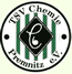 TSV Chemie Premnitz e.V. (TSVCP)