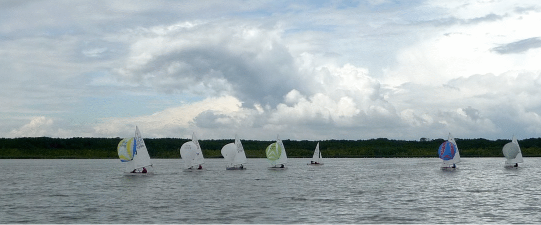 Rangsdorfer Segelgemeinschaft 53 e.V. – RSG 53 e.V.